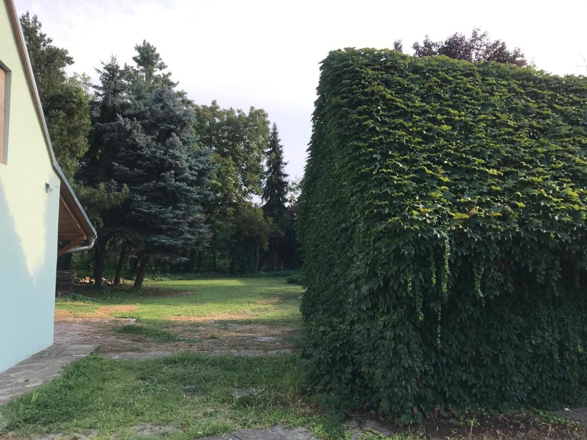 Pb Urban Garden Stay With Secured Parking Sremska Mitrovica Dış mekan fotoğraf